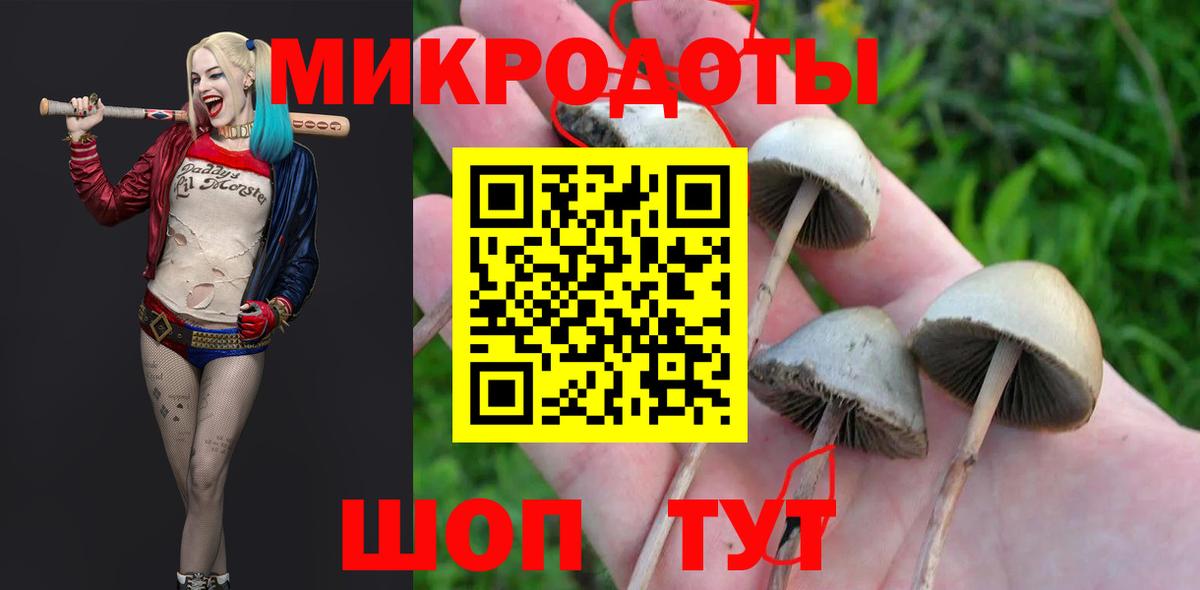 Псилоцибиновые грибы GOLDEN TEACHER Похвистнево